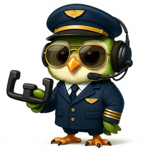 Коммерческий пилот